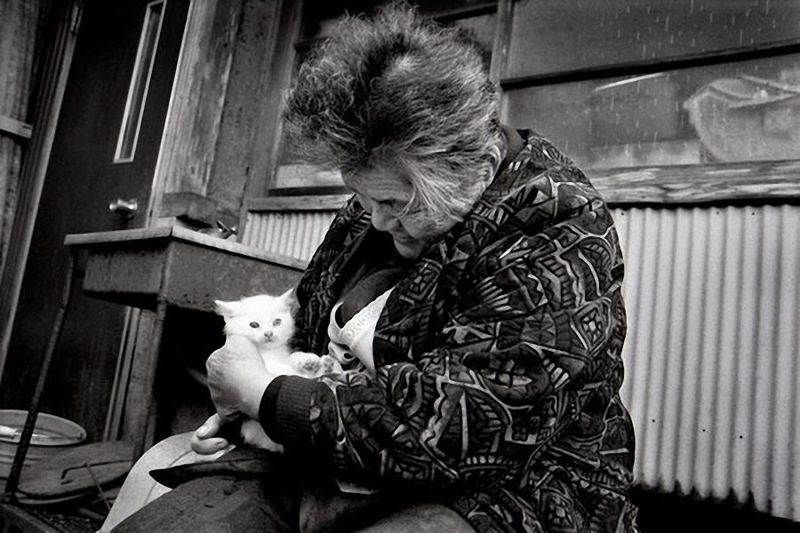 Бабушка и её верная кошка